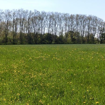 Gite Du Gardien Saint-Martin-de-Crau Esterno foto