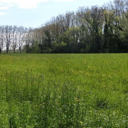 Gite Du Gardien Saint-Martin-de-Crau Esterno foto