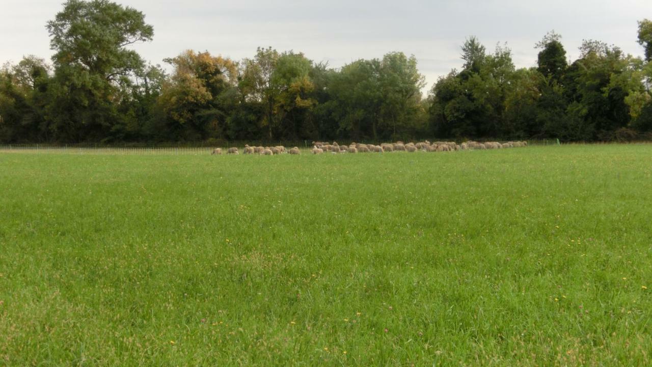 Gite Du Gardien Saint-Martin-de-Crau Esterno foto