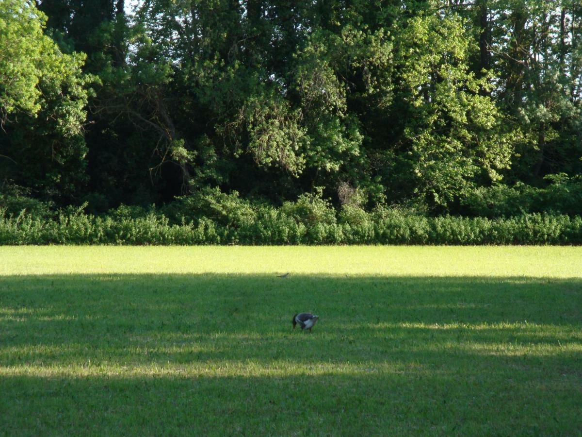 Gite Du Gardien Saint-Martin-de-Crau Esterno foto