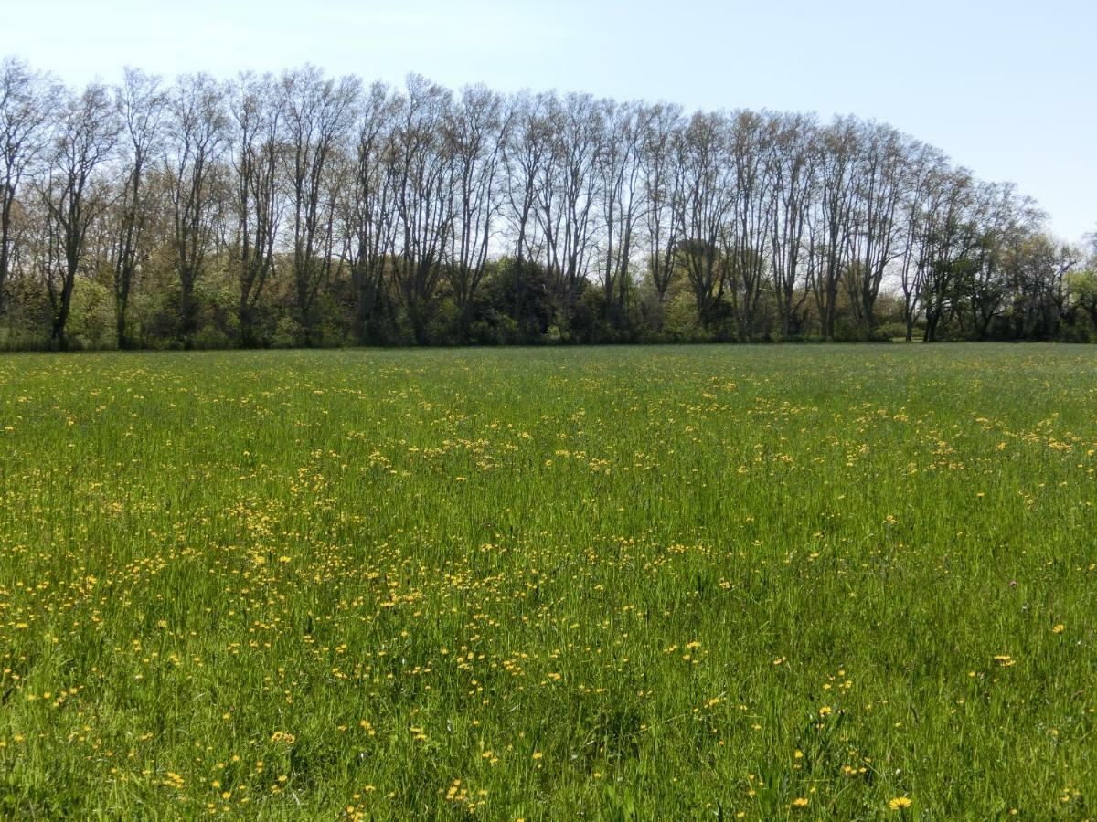 Gite Du Gardien Saint-Martin-de-Crau Esterno foto