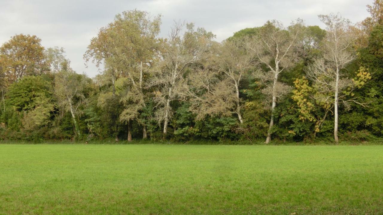 Gite Du Gardien Saint-Martin-de-Crau Esterno foto